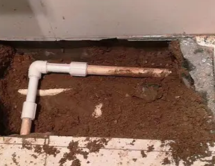 林芝测漏水哪家好